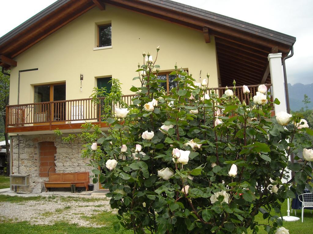 Agriturismo Il Girasole Feltre Ngoại thất bức ảnh