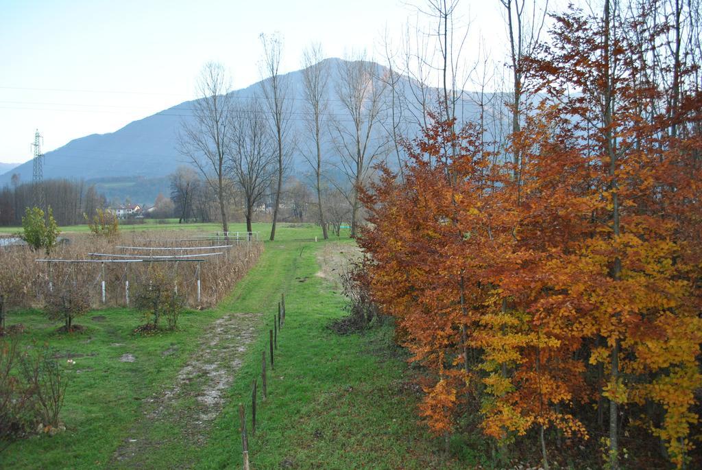 Agriturismo Il Girasole Feltre Ngoại thất bức ảnh