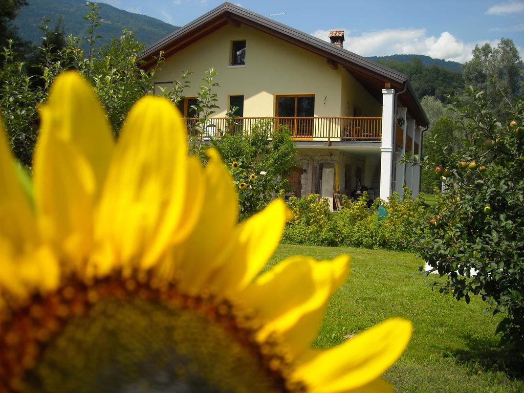 Agriturismo Il Girasole Feltre Ngoại thất bức ảnh