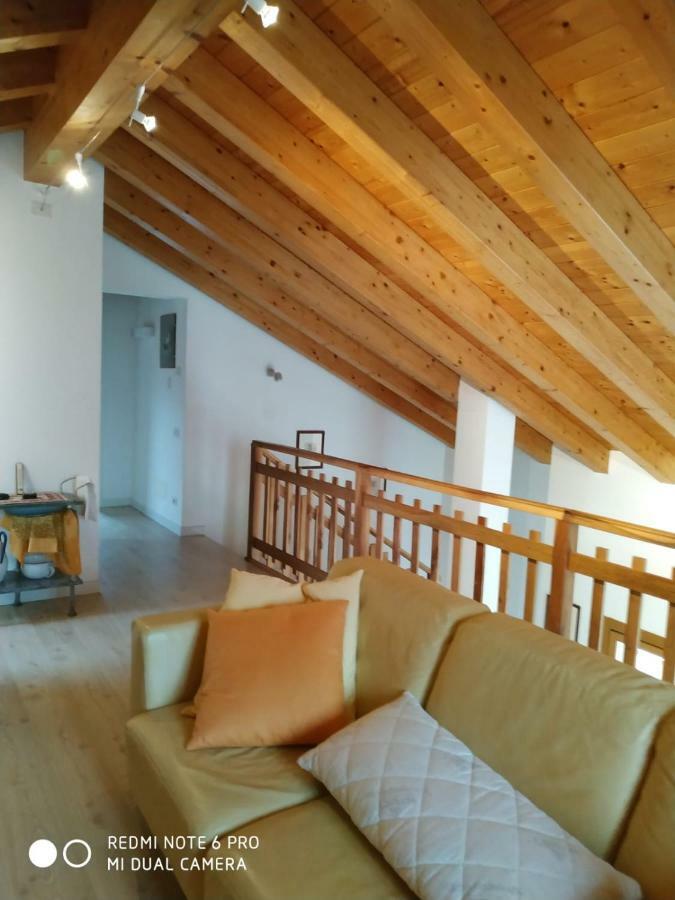 Agriturismo Il Girasole Feltre Ngoại thất bức ảnh