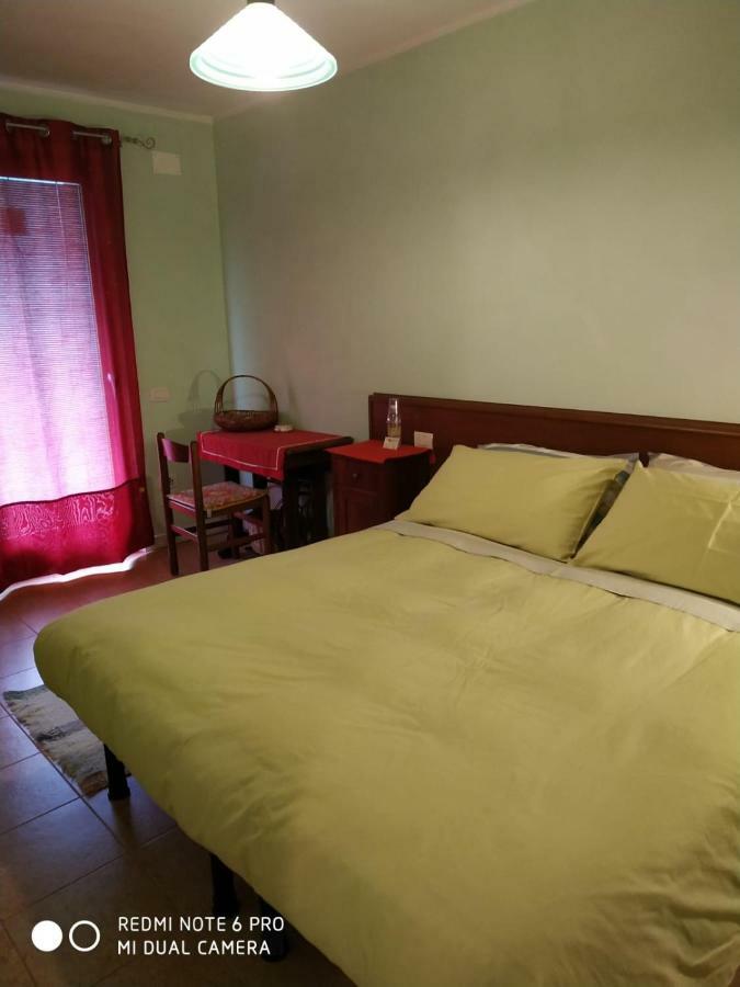 Agriturismo Il Girasole Feltre Ngoại thất bức ảnh